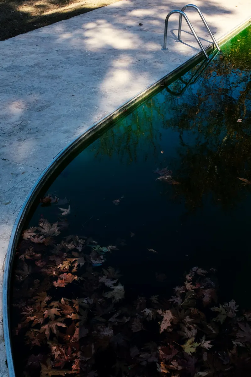 Green & Black Algae Treatment